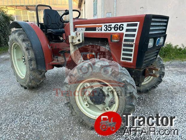 Fiat 35-66 dt trattore usato motore 0 ore 4x4 Frutteto